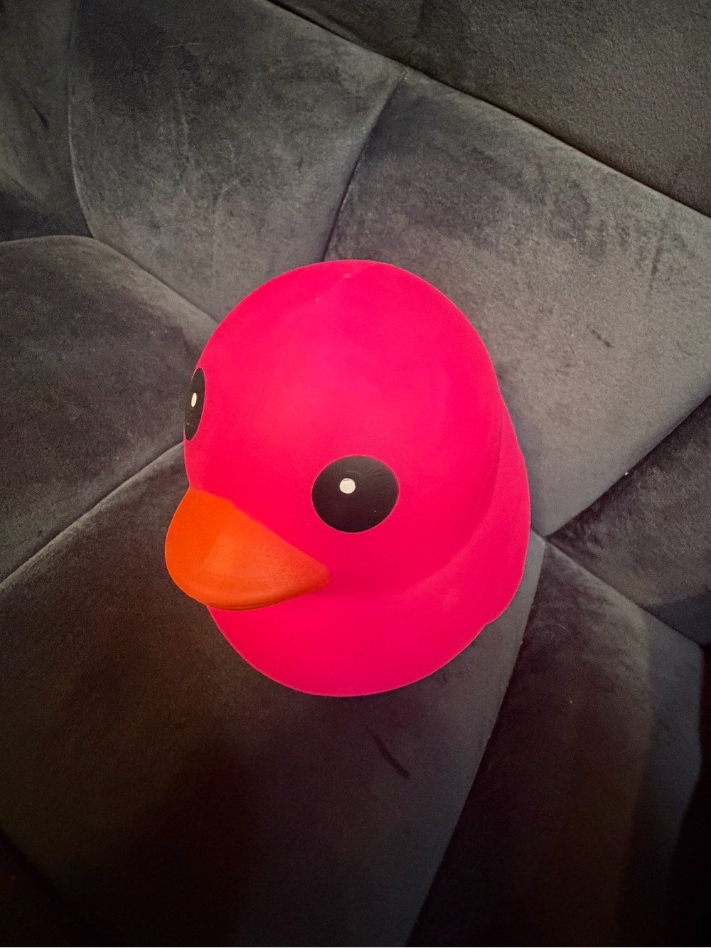 Duck squishy